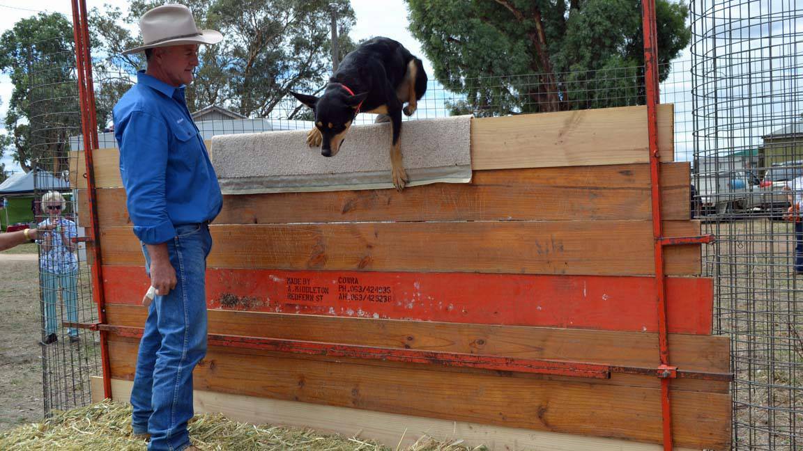COWRA: Every man and his dog was at the Koorawatha Show on Sunday, March 2.