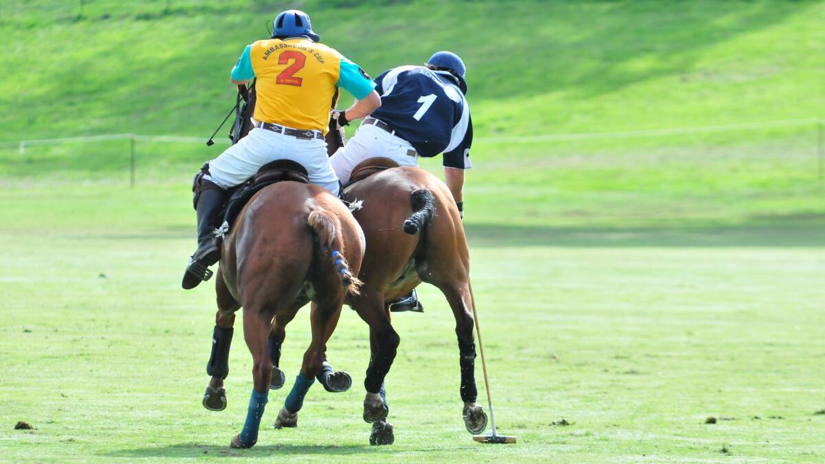 ALL ACTION: Man and best work together at the 2014 Millamolong Polo Carnival on Saturday. Photo: JUDE KEOGH