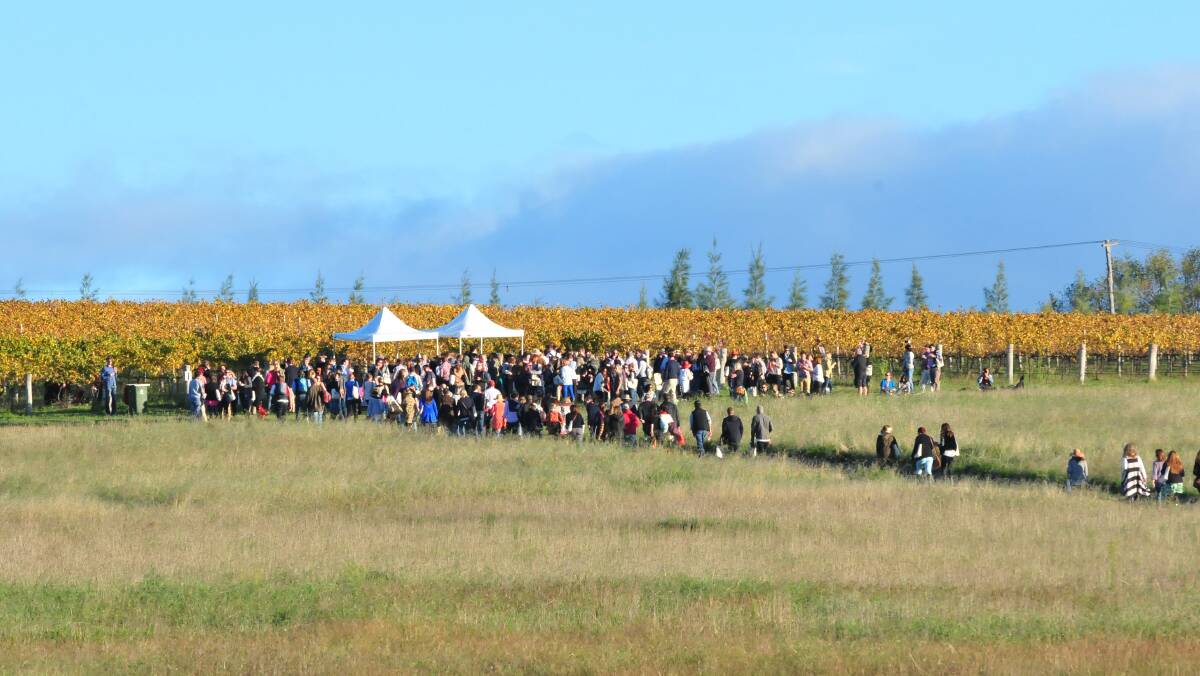 FORAGE: The crowd wanders through the countryside looking for food and drink at one of F.O.O.D Week's most popular events. Photo: JUDE KEOGH