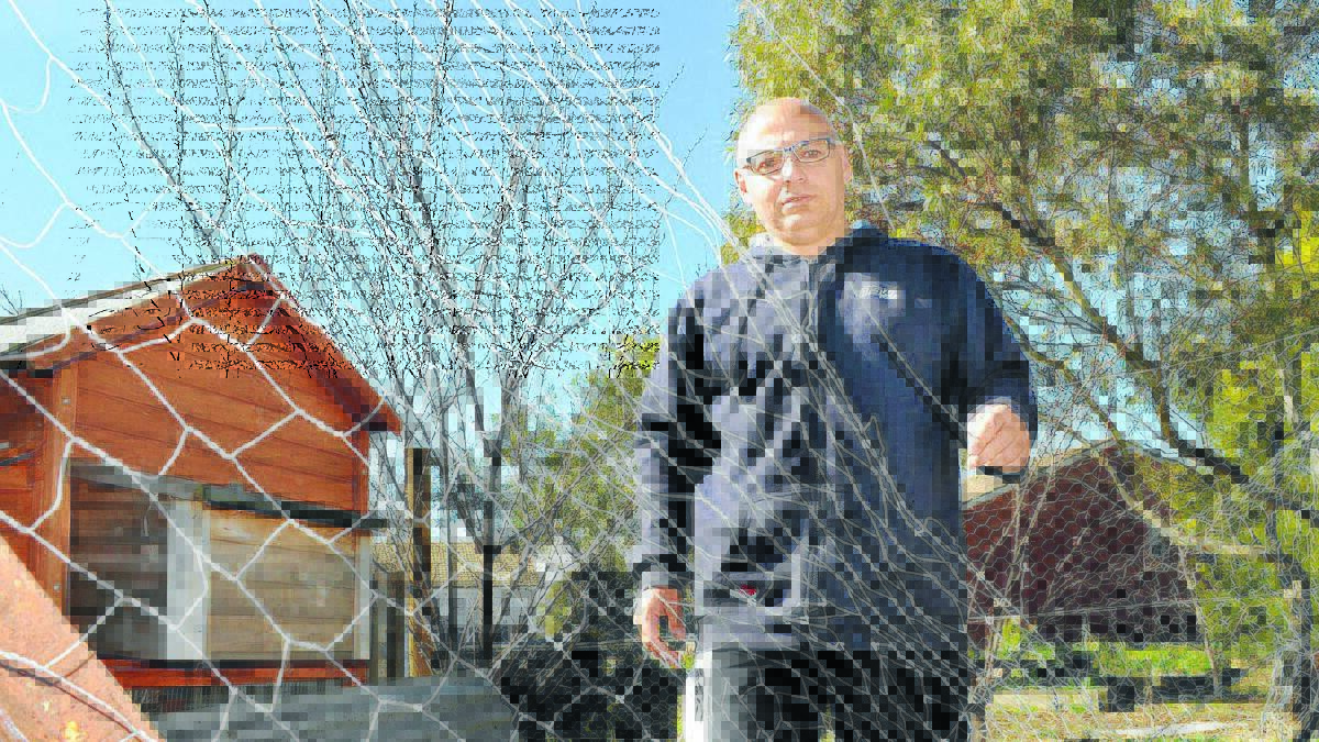 SHAMEFUL: South Bathurst Public School principal Greg Cross shows where the wire of the chicken enclosure was cut to gain access to the chickens. 
Photo: CHRIS SEABROOK 081014cfowls2a