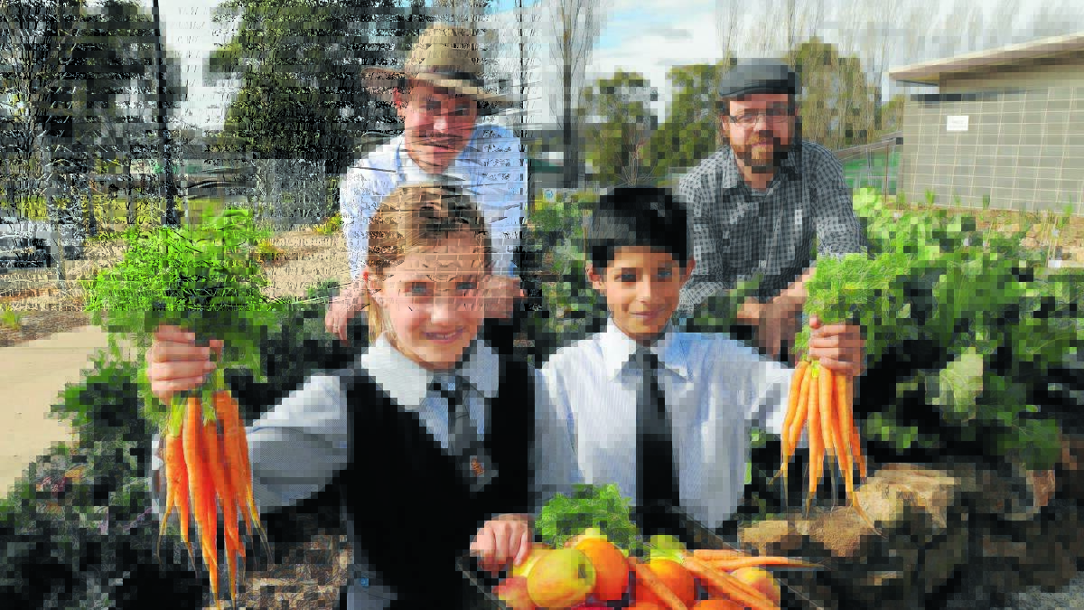 BOUNTIFUL: Orange Anglican Grammar School year 3 students Grace Broom and Sebastian Garrido and (back left) principal Len Elliott help select the best produce from the school’s kitchen garden in the hope that eventually (back right) Lucas Martin of the Agrestic Grocer can use it to make the students’ lunches. Photo: STEVE GOSCH                                                                                                                                                                           0901sganglican