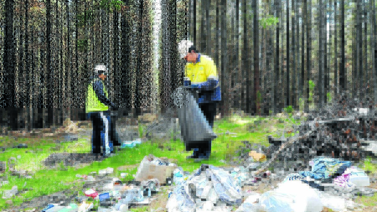 END THE WASTE: Jacob Perryment and Josh Lane work to remove dumped rubbish in the Kinross State Forest in September. Photo: STEVE GOSCH                                         0924sgdump5