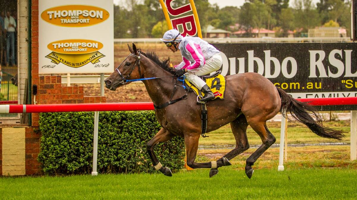 ON THE FLY: Nick Moraitis’ Flyfillyfly storms home to win the Graincorp Maiden Handicap (1300m) at Dubbo yesterday. 
Photo: JANIAN McMILLAN

