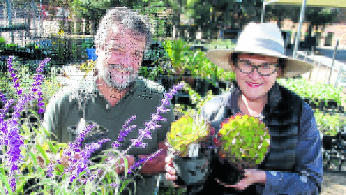 FRIENDS WITH PLANTS: Chris Mills and Libby West have over 3000 plants ready to be planted in autumn. Photo by STEVE GOSCH 0426sgplant1