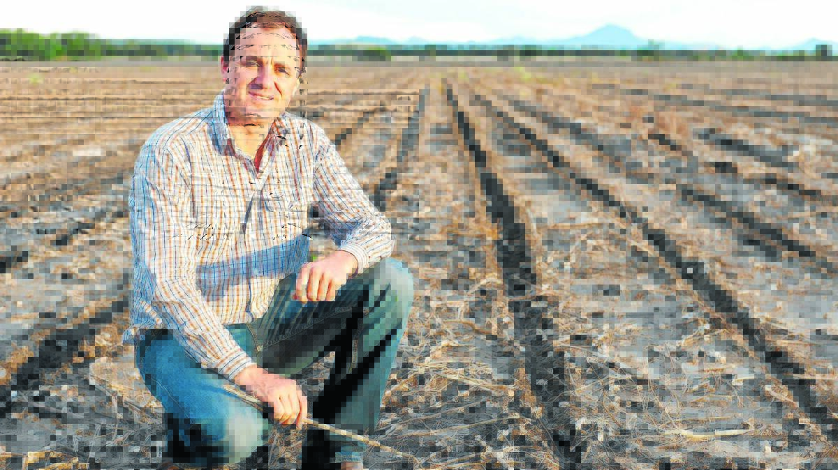 FOND MEMORIES: Greens MLC Jeremy Buckingham has moved to the mid north coast.
Photo: SUPPLIED