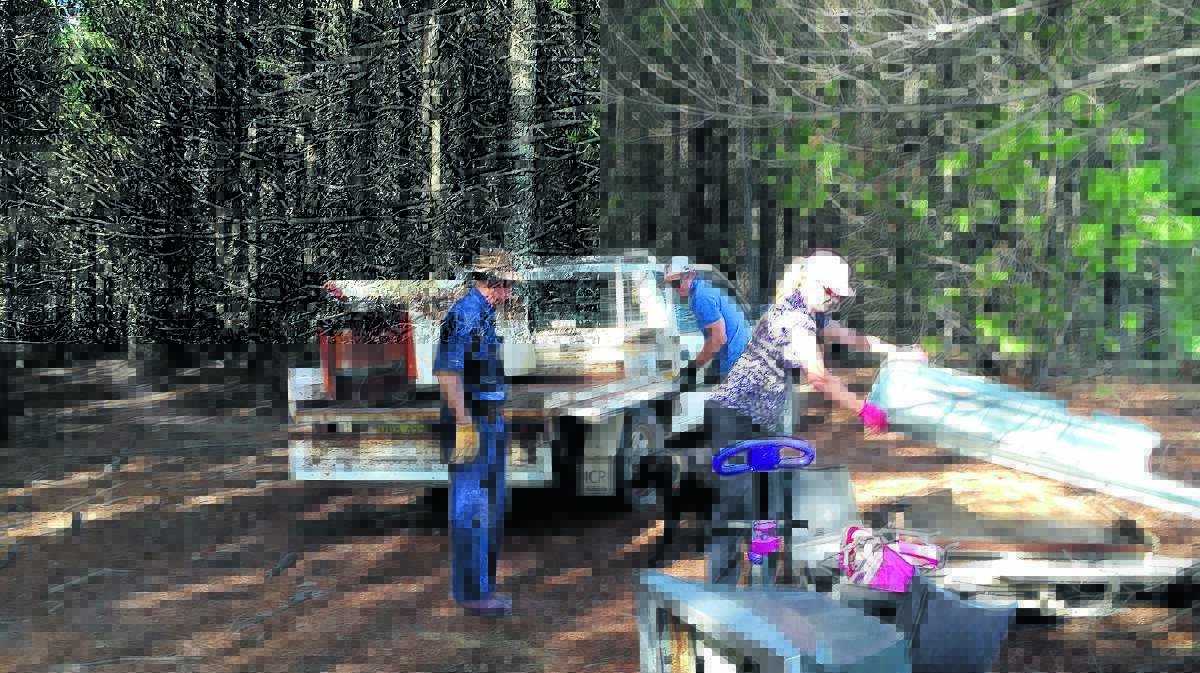 TAKING CHARGE: Volunteers clean up Kinross State Forest. Photo: SUPPLIED