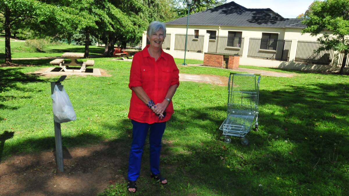 BIN SHORTFALL: Bev Alexander-Fisher says bins are desperately needed in Moulder Park to stop people dumping rubbish.
Photo: JUDE KEOGH 0318rubbish1