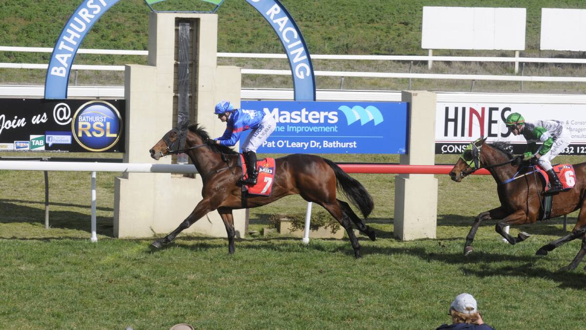 UNEXPECTED: Shebrings Class leads the field home in the Class 1 Handicap yesterday at Tyers Park. Photo: CHRIS SEABROOK 
