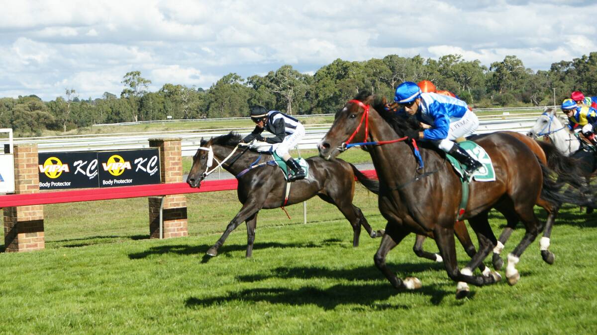 GREAT WAY TO FINISH: Racing Orange is set for a bumper day at its Orange Cup meeting on Friday.