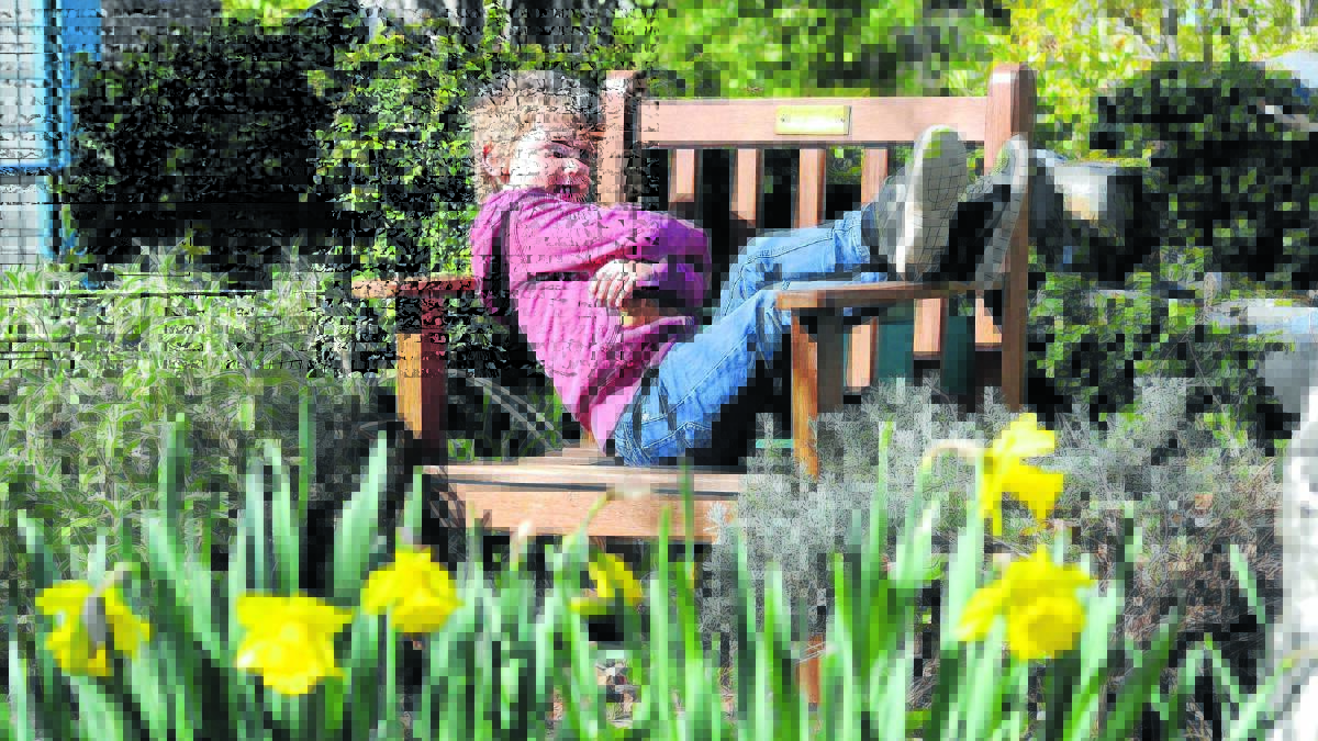 HAPPY DAYS: Cameron McLean, 5, enjoys the sunshine at the Orange Botanic Gardens.  Photo: STEVE GOSCH 0831spring2