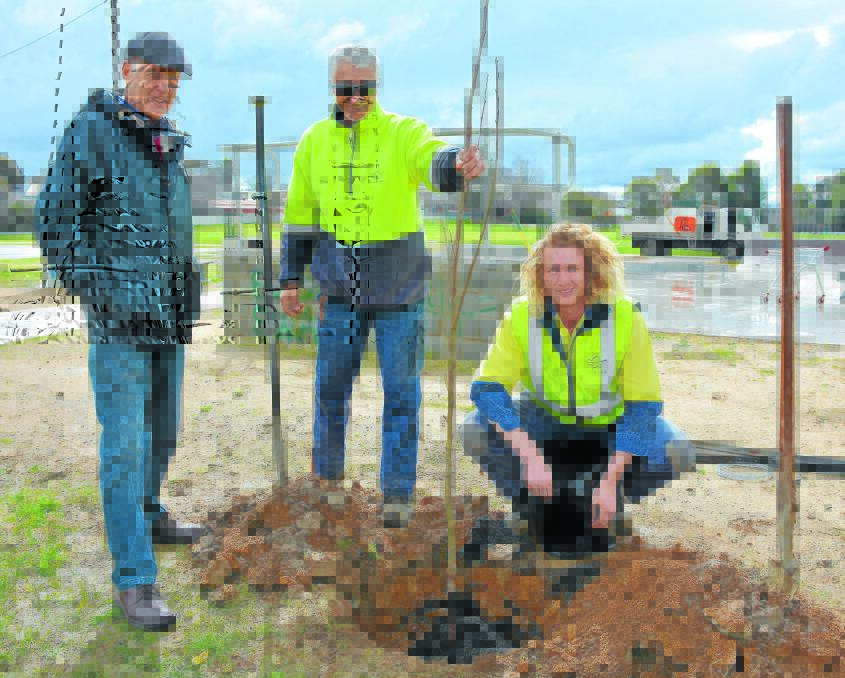 BEAUTIFICATION : Orange councillor Neil Jones with council tree team leader Dean Sutherland and horticulture apprentice Nathan Potts planting trees at Glenroi Oval last week. Photo: SUPPLIED.