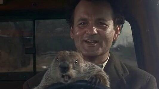 NOT AGAIN: Bill Murray in the 1993 classic Groundhog Day.