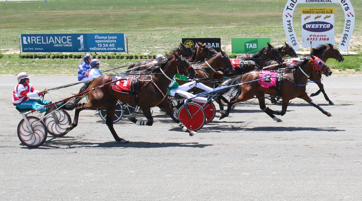 THERE YOU GO: Keep On Going storms home to win during Orange's harness racing meeting at Bathurst last weekend. More strong pacing is tipped for this Sunday as well. Photo: BATHURST HARNESS RACING CLUB