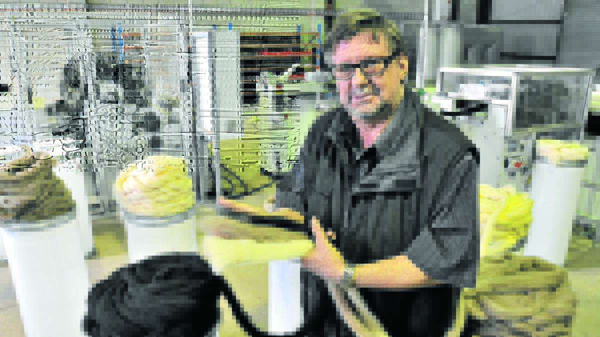 GAME CHANGER: Adagio Alpaca Mill production manager Steve Vandenbergh with part-processed alpaca fibre he has been trialling before the business gets up and running. Photo: STEVE GOSCH                                                                                                                    0615sgalpaca1