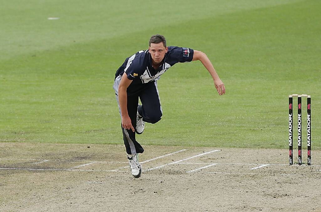 TOP GRADE DEBUT: Chris Tremain in action for the Bushrangers during this year's Matador Cup, one-day competition.