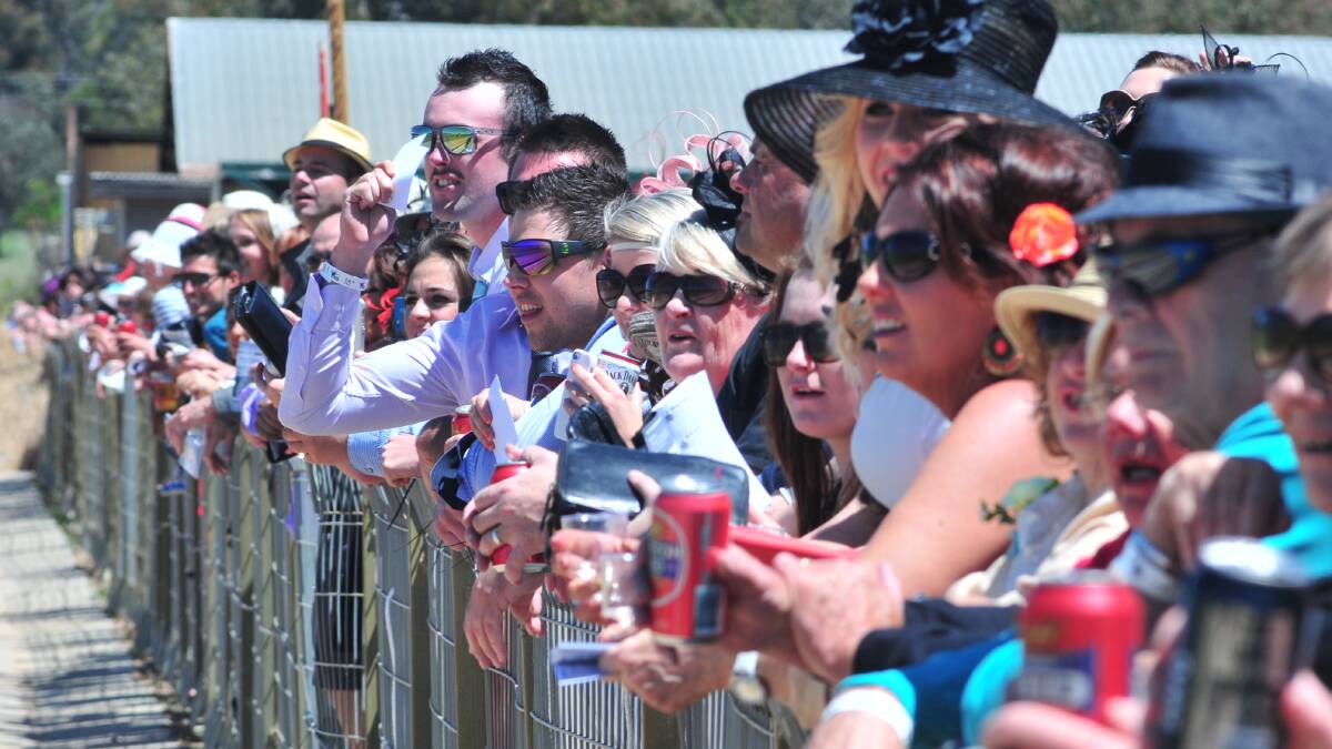BLOCKBUSTER: Nominations are in for next week's Melbourne Cup Race Day, and Racing Orange is expecting a huge crowd. 
Photo: LUKE SCHUYLER 1105lscrowd