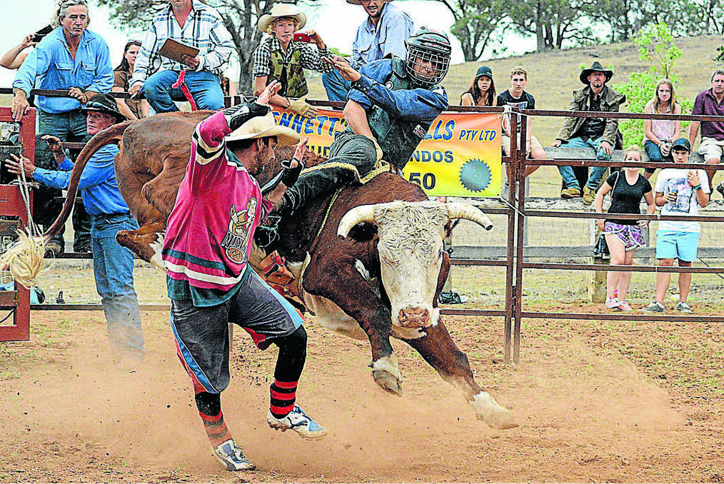 GULGONG: Ricky and Josh Henderson in action at the Gulgong Show last weekend.