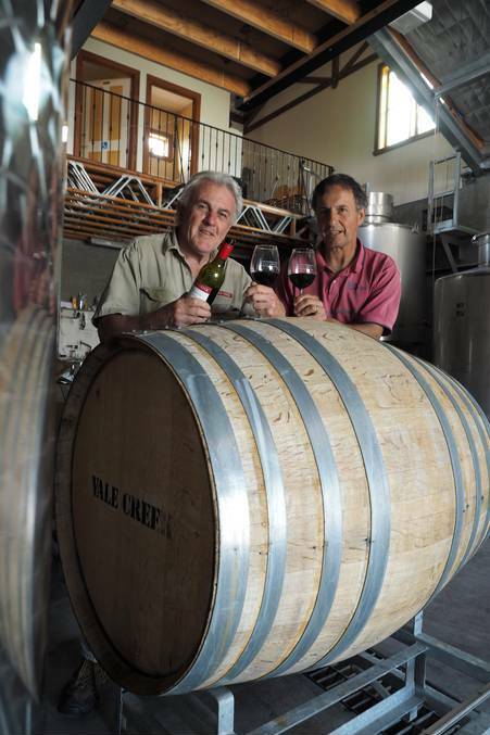 BATHURST Vignerons Tony Hatch and Mark Renzaglia will take visitors behind the scenes at their vineyards on Sunday as part of the Bathurst Autumn Colours program. Photo ZENIO LAPKA 031014zvale3