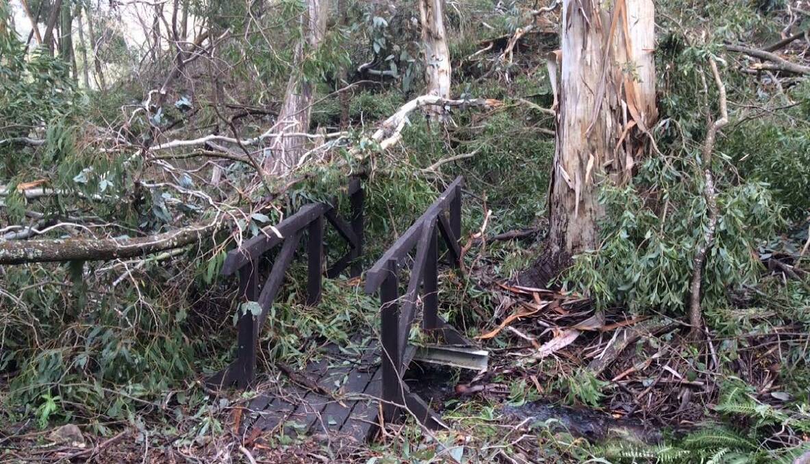 CARNAGE: A bridge at Mt. Canobolas strewn with trees.