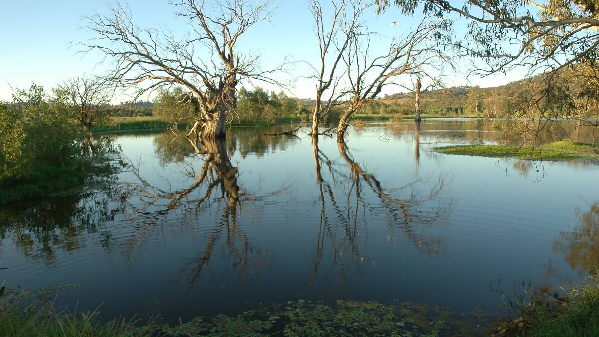 The Nice Lagoon in the Wonga Wetlands.