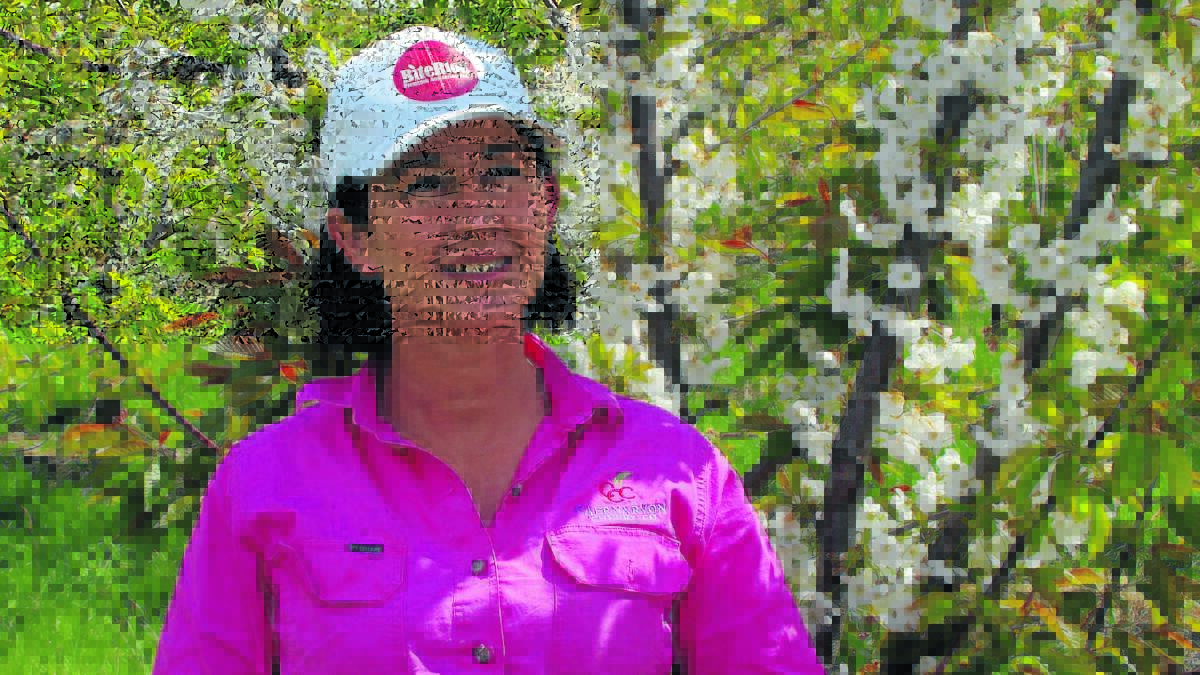PIP PROFITS: Cherry and apple grower Fiona Hall has won a scholarship to study how orchardists can increase their profit share. Photo supplied. 0920fiona1