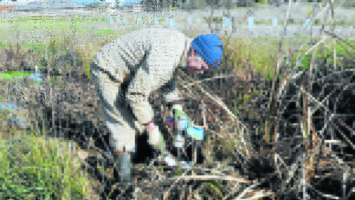 CALL FOR RESPONSIBILITY: Councillor Neil Jones says pet owners need to take more responsibility for their pets and litter disposal in an effort to preserve Orange's wetlands. 
Photo: LUKE SCHUYLER. 0820lswetlands1