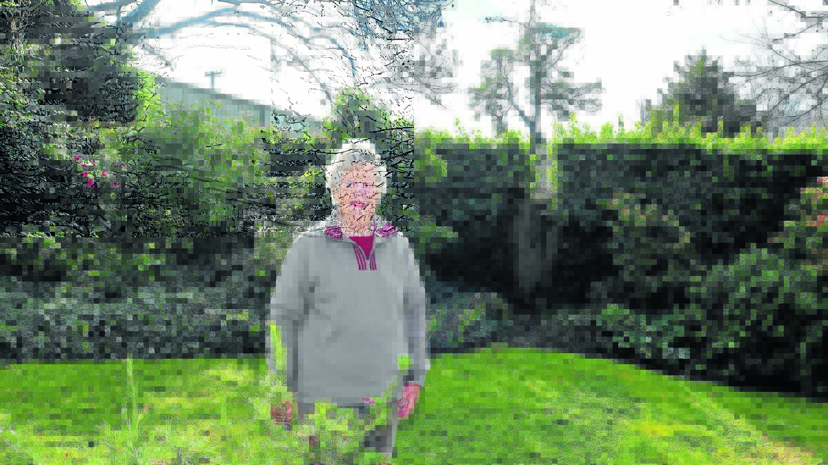 NOT HAPPY: Rowan Street resident Marcia Thorp says Duntryleague’s new cart shed will ruin her view.
Photo: JUDE KEOGH 0701duntryshed3