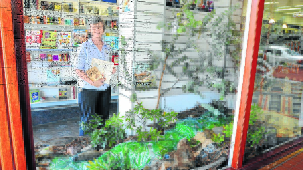 WINDOW SHOPPING: Margaret Schwebel alongside the Collins Booksellers' entry in the Banjo Paterson Australian Poetry Festival window display competition.