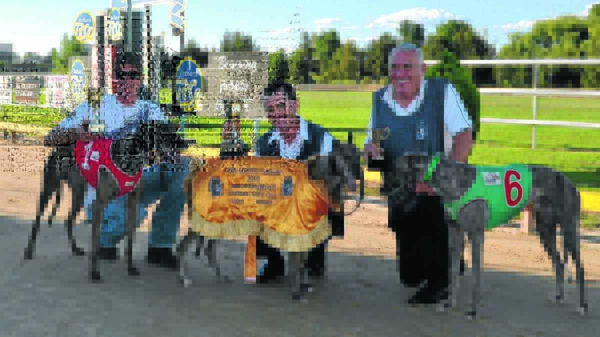 HAPPY DAYS: Handler Trevor Jones and winner Zipping Tess (centre) along with runner-up Zipping Gilbert and owner Damien Hallinan (left) and third placegetter King Cobber with trainer Frank Hurst after Monday afternoon's Bathurst Gold Cup final at Kennerson Park.
Photo: SAM DEBENHAM 022414dogs1