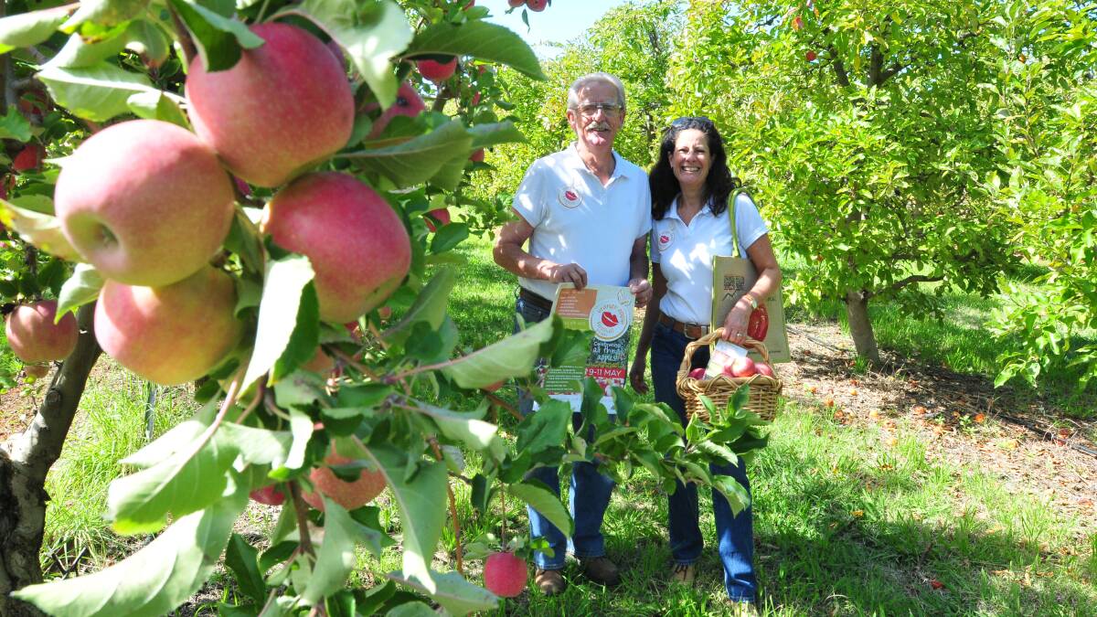 GALA EVENT: Orchardist Max Davidson and Orange Apple Festival co-ordinator Cath Thompson are keen to spread the word about all things apples during this year’s Orange Apple Festival to be held from May 9 to 11. 
Photo: JUDE KEOGH             0416apples6