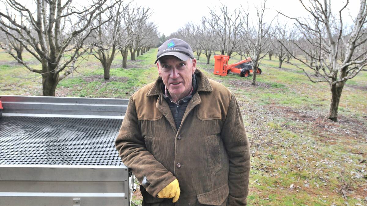 COUNTRY LIFE: Clergate orchardist John Kjoller says he wouldn’t give up his country lifestyle to live in a city. Photo: STEVE GOSCH 0715sgfarm1