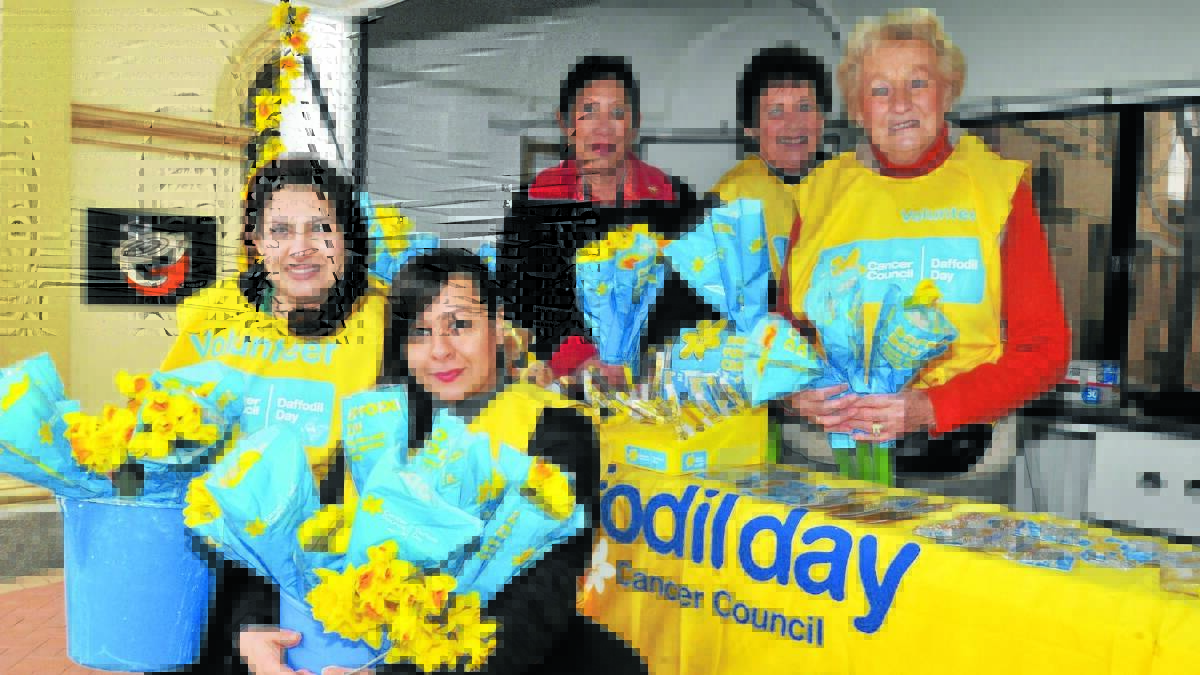 DELIGHTFUL DAFFODILS: Cancer Council volunteers Mandana Jafari, Lida Khazaneh, Corinne Stringer, Jenny Wright and Peg Adams manning the Daffodil Day merchandise stand in Post Office Lane last Friday. Photo: JUDE KEOGH  