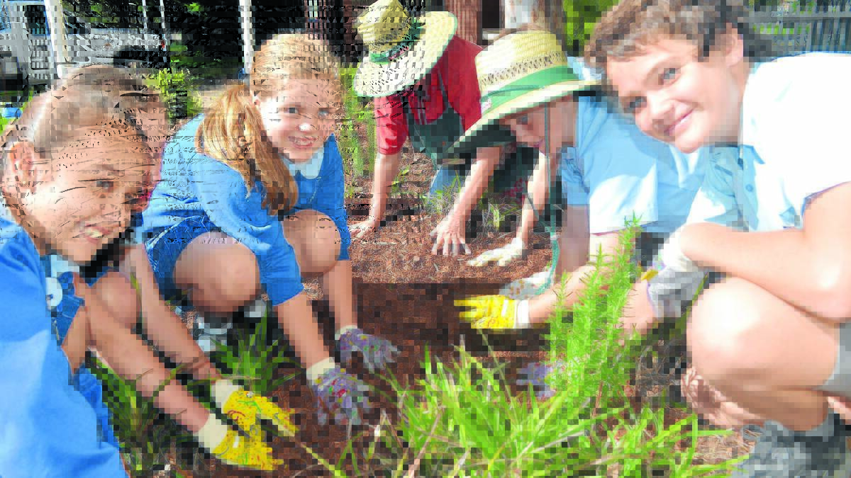 MEMORIAL GARDEN: Students from Bletchington Public School planted rosemary bushes in their new memorial garden  on Tuesday.0408anzac1
