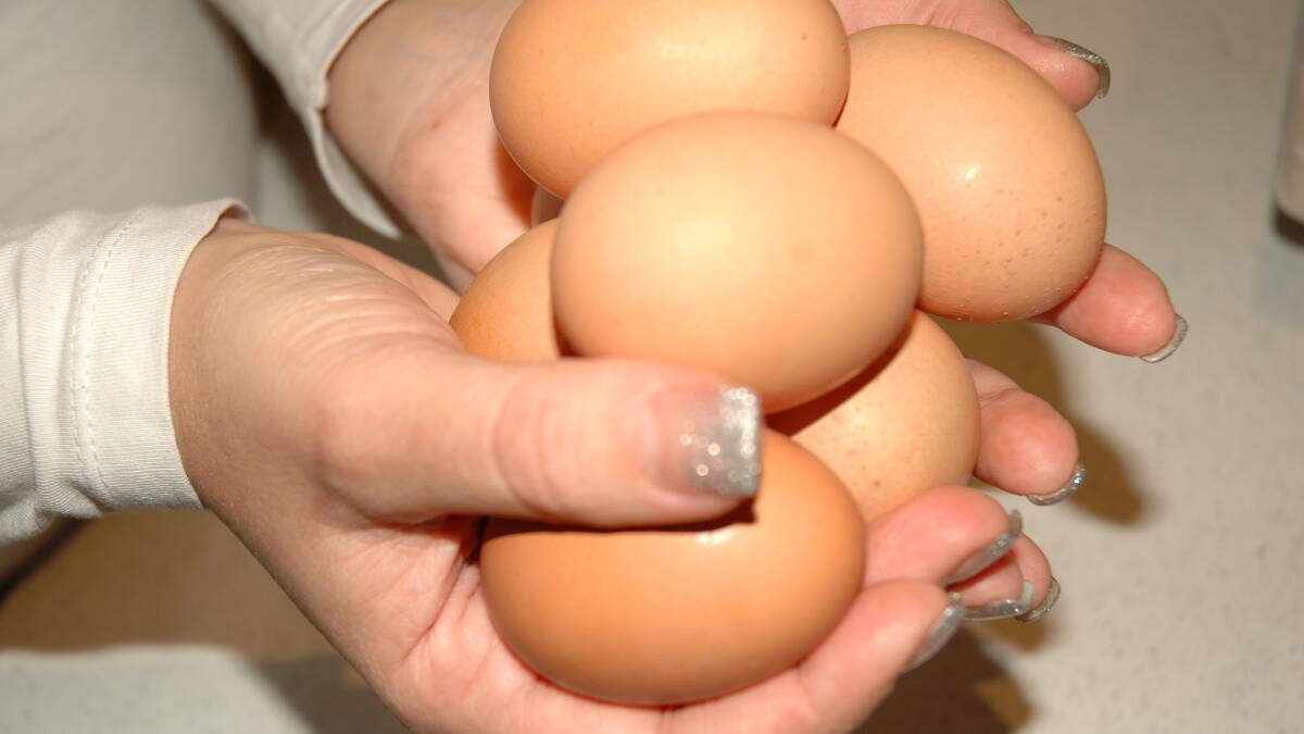 SHELLING OUT BIG BUCKS:  We were all brought up on eggs.