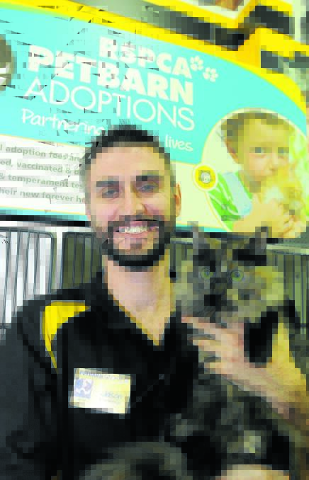 PET PROJECT: Petbarn Orange store manager Jason Ribbons with a cat that was rehomed on Saturday through its adoption partnership with the RSPCA. Photo: STEVE GOSCH  
