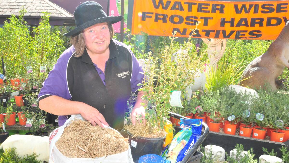HOW DOES YOUR GARDEN GROW?: Thomson’s Garden Centre horticulturalist Mary Ann Mein recommends gardeners use mulch to hold moisture in the ground and make watering under level two restrictions as effective as possible. Photo: LUKE SCHYULER. 0210lsthomson1
