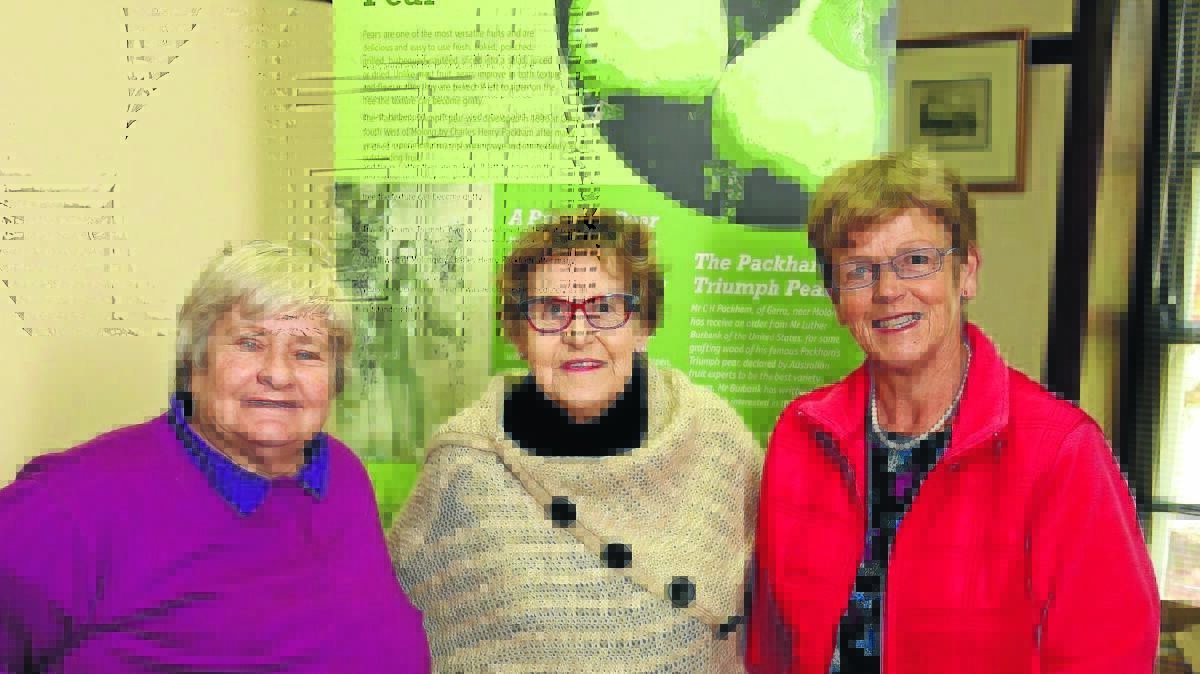 FRUITFUL ADVICE: Sue Milne, Marie Hammond and Jenny Maher invite you to the Packham pear exhibition in Molong this weekend. Photo: PHIL BLATCH             
