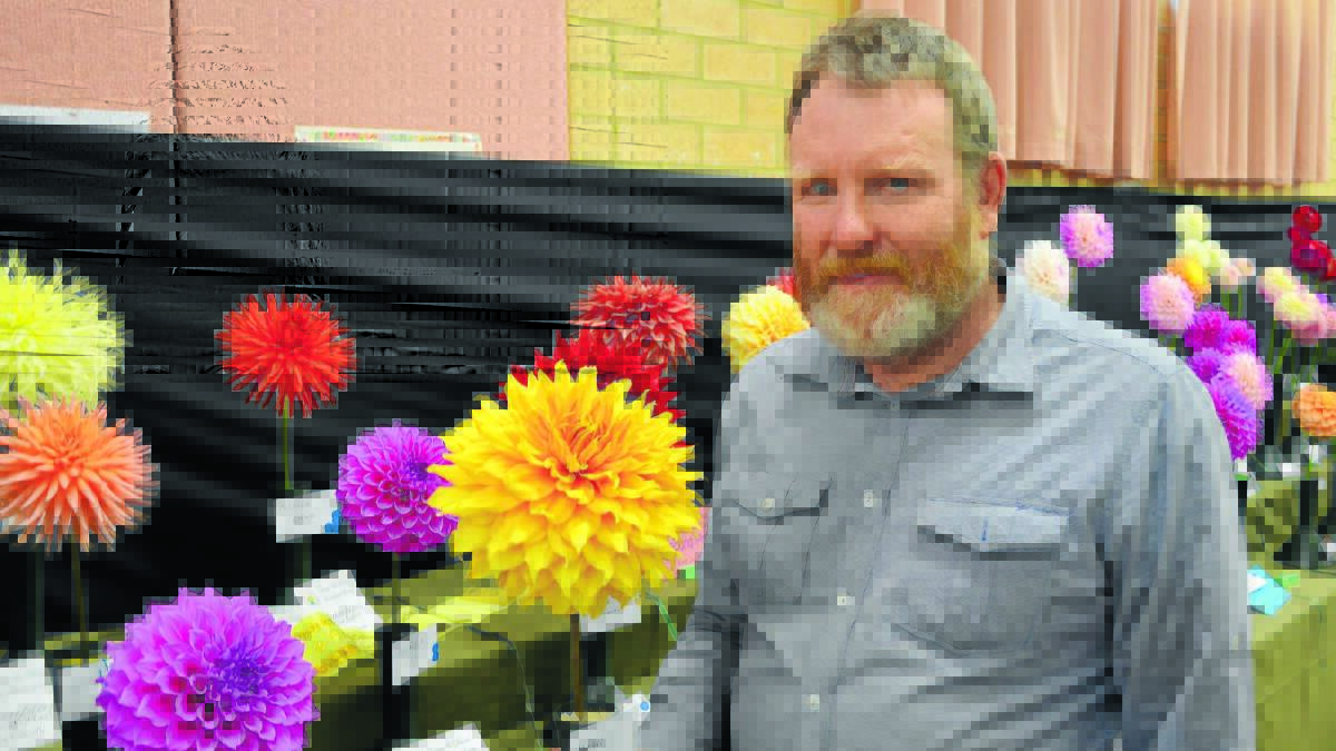 FULL BLOOM: Graeme Davis with one of his dahlias that contributed to his success as the winner of the Orange Dahlia Championship. 
Photo: ALEXANDRA KING 0314akflower1

