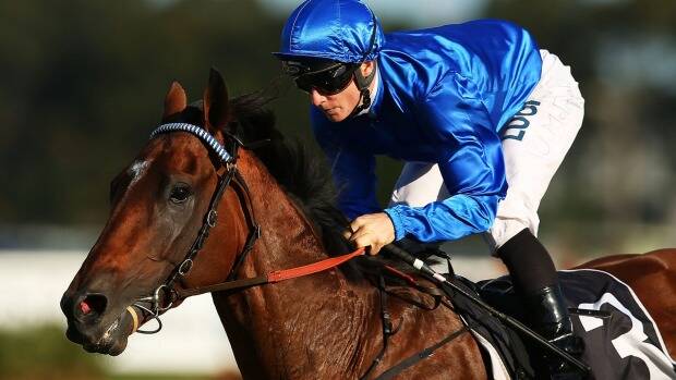 Heading the market: Hauraki is favourite for the Doomben Cup in a very open race. Photo: Getty Images