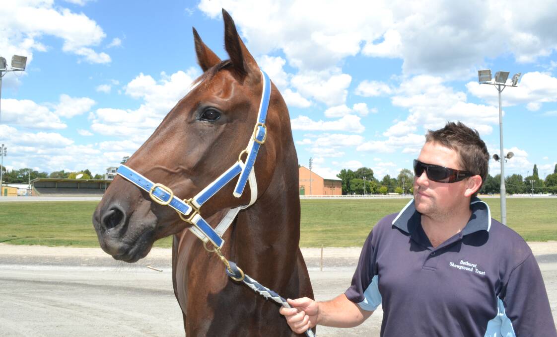 LOCAL CHANCE: Bathurst trainer Trent Rue, pictured with Kurravale Olive, will be on board Leonardos Son for Saturday's Gold Crown Final. 									    Photo: CHRIS SEABROOK 021913ctrue