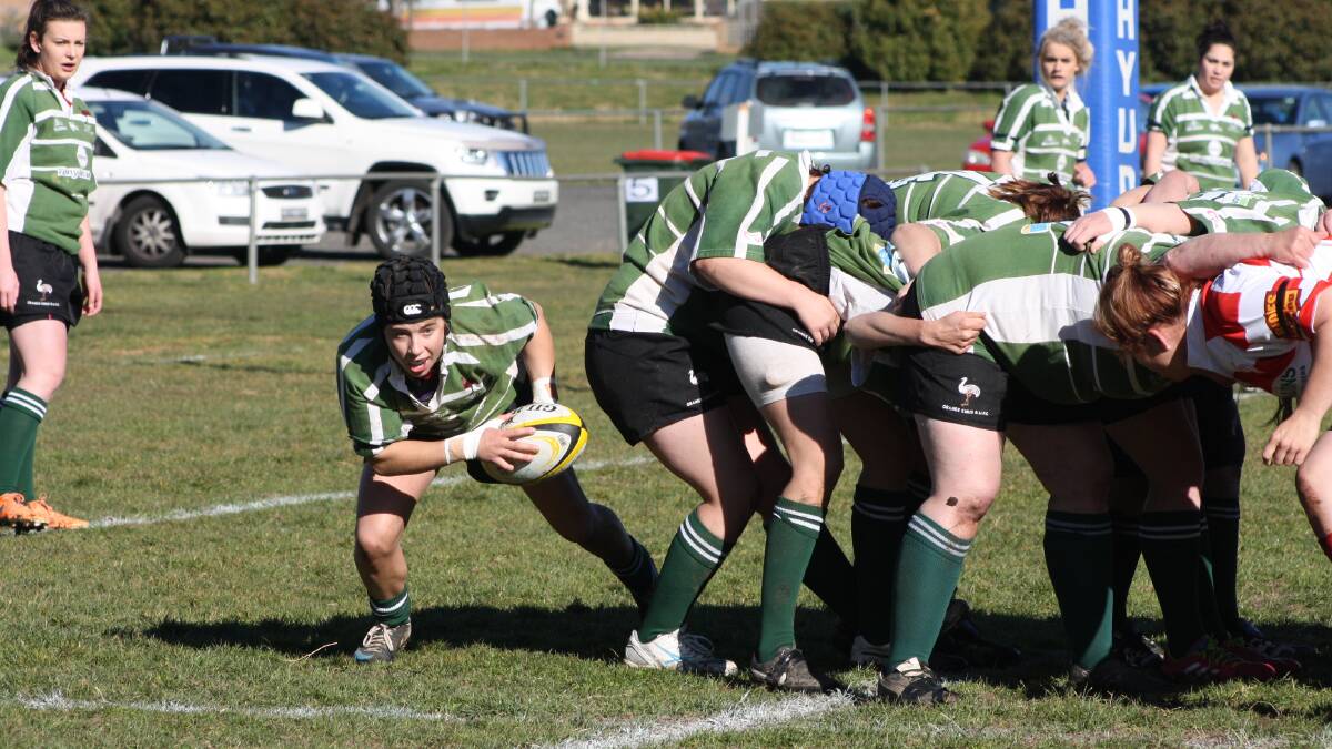 ON THE MOVE: Emus Chicks halfback Nikki D’Aquino darts out from the back of the scrum. Photo: MICHELLE COOK 0823mcwomen2