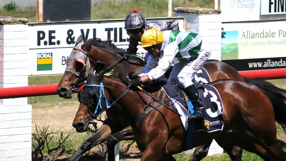JUST HOME: Mudgee’s Curtain Calls edges out the Paul Theobald-trained Bathurstian at Towac Park on Friday. Photo: STEVE GOSCH  1121sgrace2