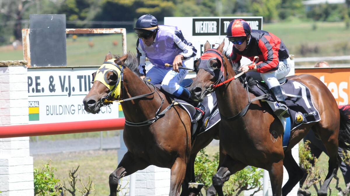 STORMING HOME: King Derota (outside) sneaks past Prettylittlefellow to win the Damien Murphy Memorial Class 3 Handicap at Towac Park yesterday. Photo: JUDE KEOGH 0130races2