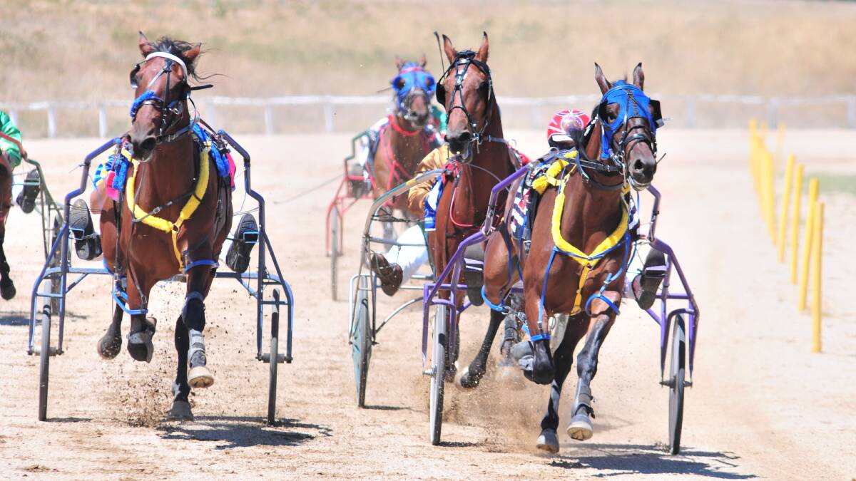 FLAWLESS DRIVE: Bernie Hewitt piloted Aunty Kym (right) to a win in the first at Orange yesterday, from Catalina Rainbow (left) and Oppys Aatma (middle). Photo: JUDE KEOGH 0209trots4