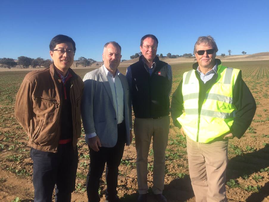 EXPORT: Commissioner Tony Zhang, export adviser Rob Harrison, Commissioner David Carlow and MSM Milling's Bob Mac Smith. Photo: SUPPLIED
