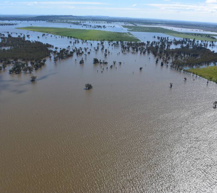 WATER, WATER: An aerial view of floodwaters near Forbes.