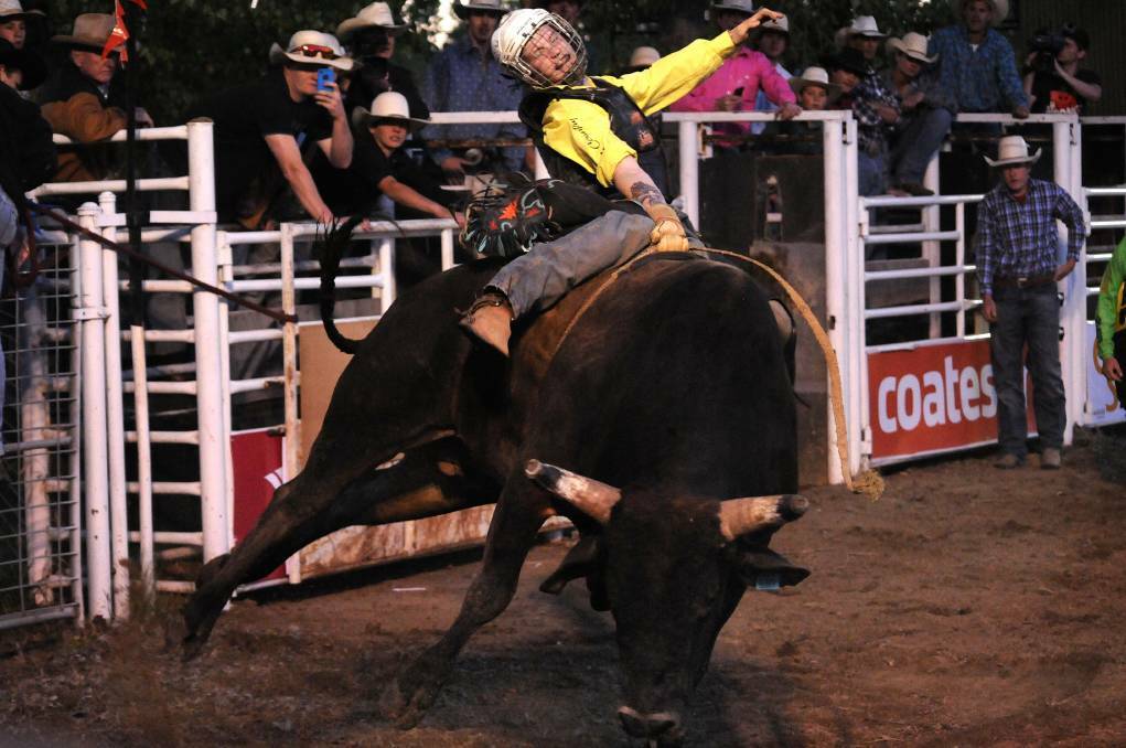 COWBOY: Bryce Kelly holds on tight at the East to West Coast Rodeo Championships in Orange in 2015. 