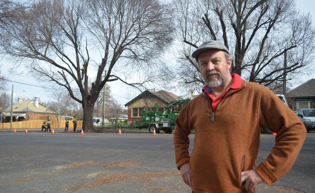 TIMBER: Clinton Street's Peter Rorke wants council to have more staff caring what the city's oldest trees. Photo: DECLAN RURENGA 0811drtree1