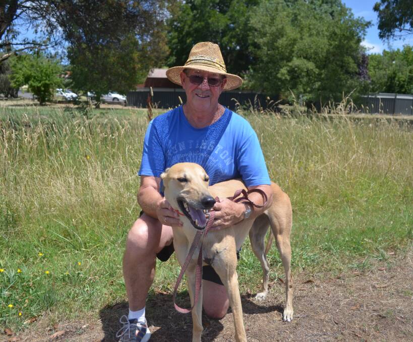 TALL GRASS: Barry Priest, with his retired greyhound Rosie, wants to see long grass bordering residential properties cut down. Photo: DECLAN RURENGA 0109drgrass1