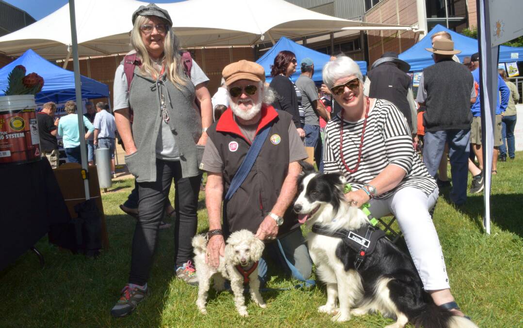 FOUR PAW: Cheryl and Bob Fuller with Misty, and Jennifer Derrick with Bailey at the Orange Farmers Markets. Photo: DECLAN RURENGA 1111drmarkets2